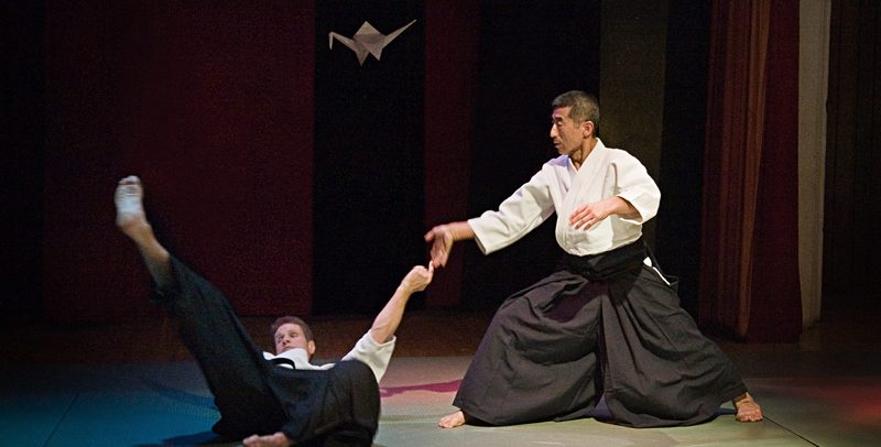 shoji seki aikido demonstration